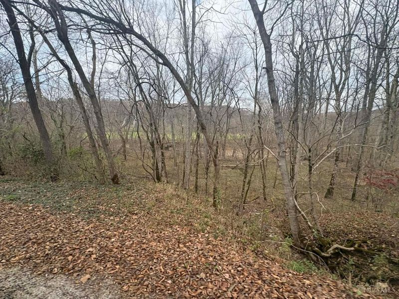 4702 Brush Creek Rd, Manchester, OH 45144 Photo 45