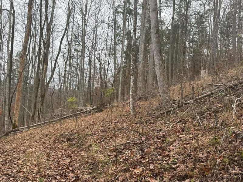 4702 Brush Creek Rd, Manchester, OH 45144 Photo 47