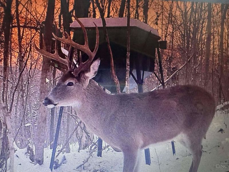 4702 Brush Creek Rd, Manchester, OH 45144 Photo 49