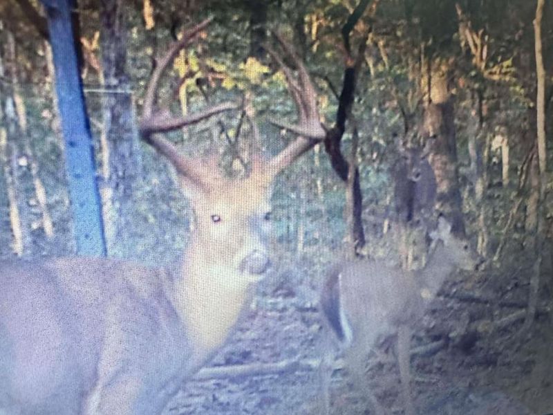 4702 Brush Creek Rd, Manchester, OH 45144 Photo 51