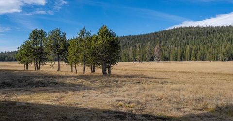 996 Fibreboard Road, Sierraville, CA 96160 Photo