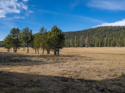 996 Fibreboard Road, Sierraville, CA 96160 Photo