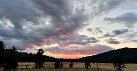 996 Fibreboard Road, Sierraville, CA 96160 Photo