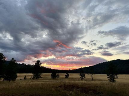 996 Fibreboard Road, Sierraville, CA 96160 Photo