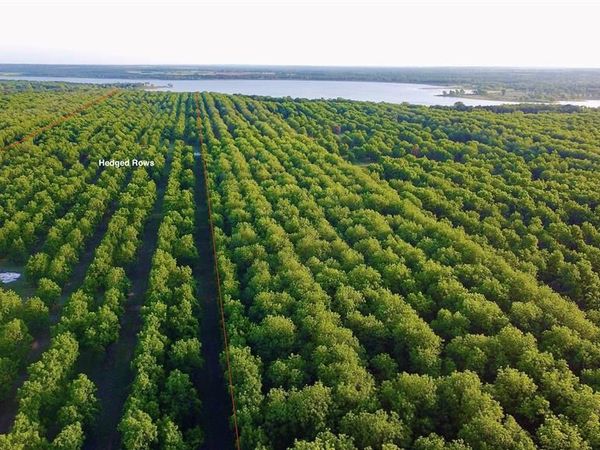 751 County Road 424 , Comanche, TX 76442