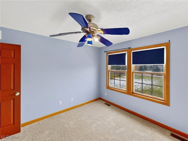 3823 Martha Circle, Litchfield, OH 44253 Photo 16