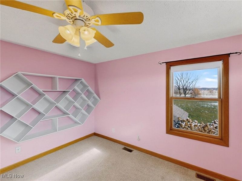 3823 Martha Circle, Litchfield, OH 44253 Photo 18