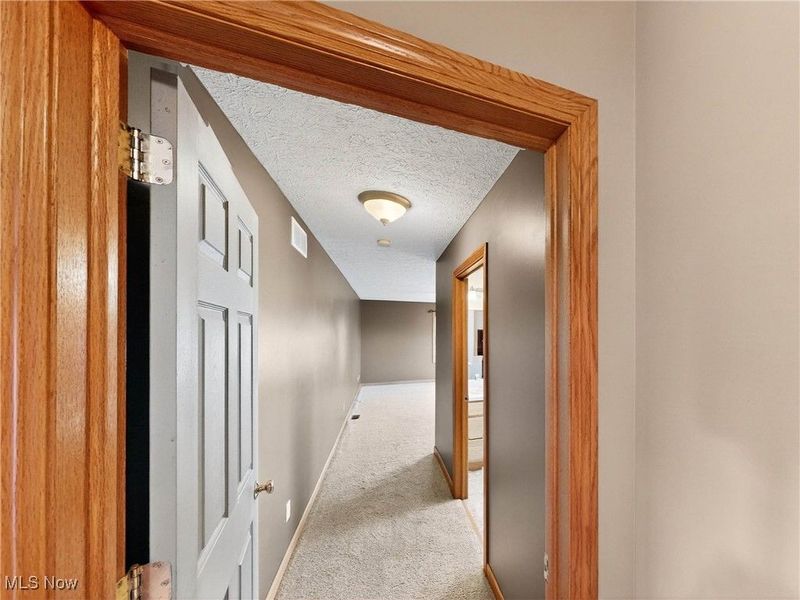 3823 Martha Circle, Litchfield, OH 44253 Photo 19