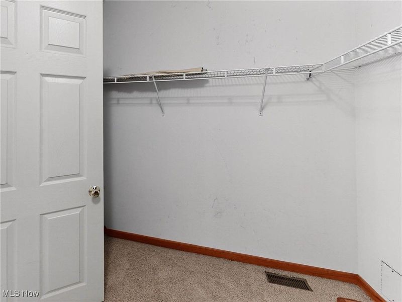 3823 Martha Circle, Litchfield, OH 44253 Photo 23