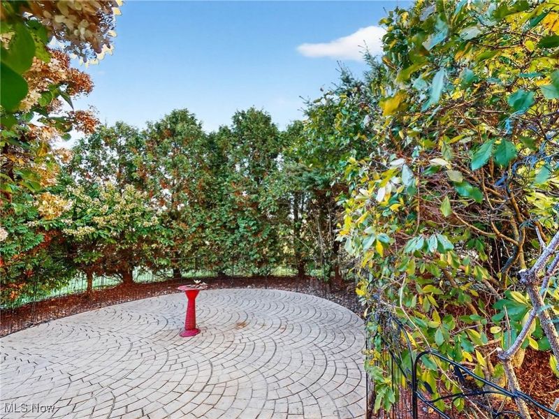 3823 Martha Circle, Litchfield, OH 44253 Photo 37