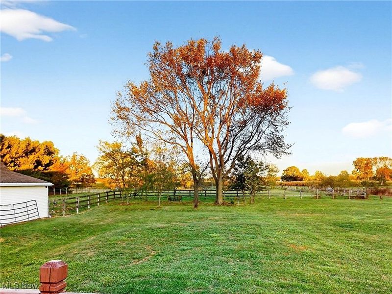 3823 Martha Circle, Litchfield, OH 44253 Photo 40