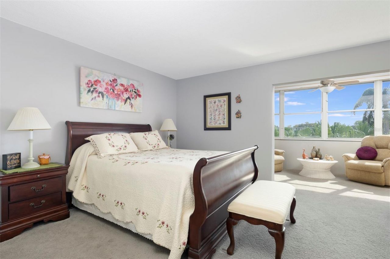8101 11th Street N, Unit 319, Saint Petersburg, FL 33702 Photo
