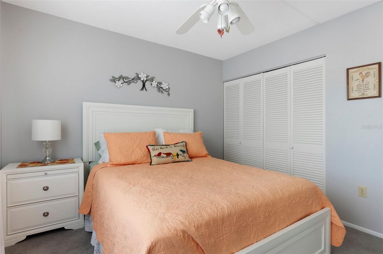 8101 11th Street N, Unit 319, Saint Petersburg, FL 33702 Photo