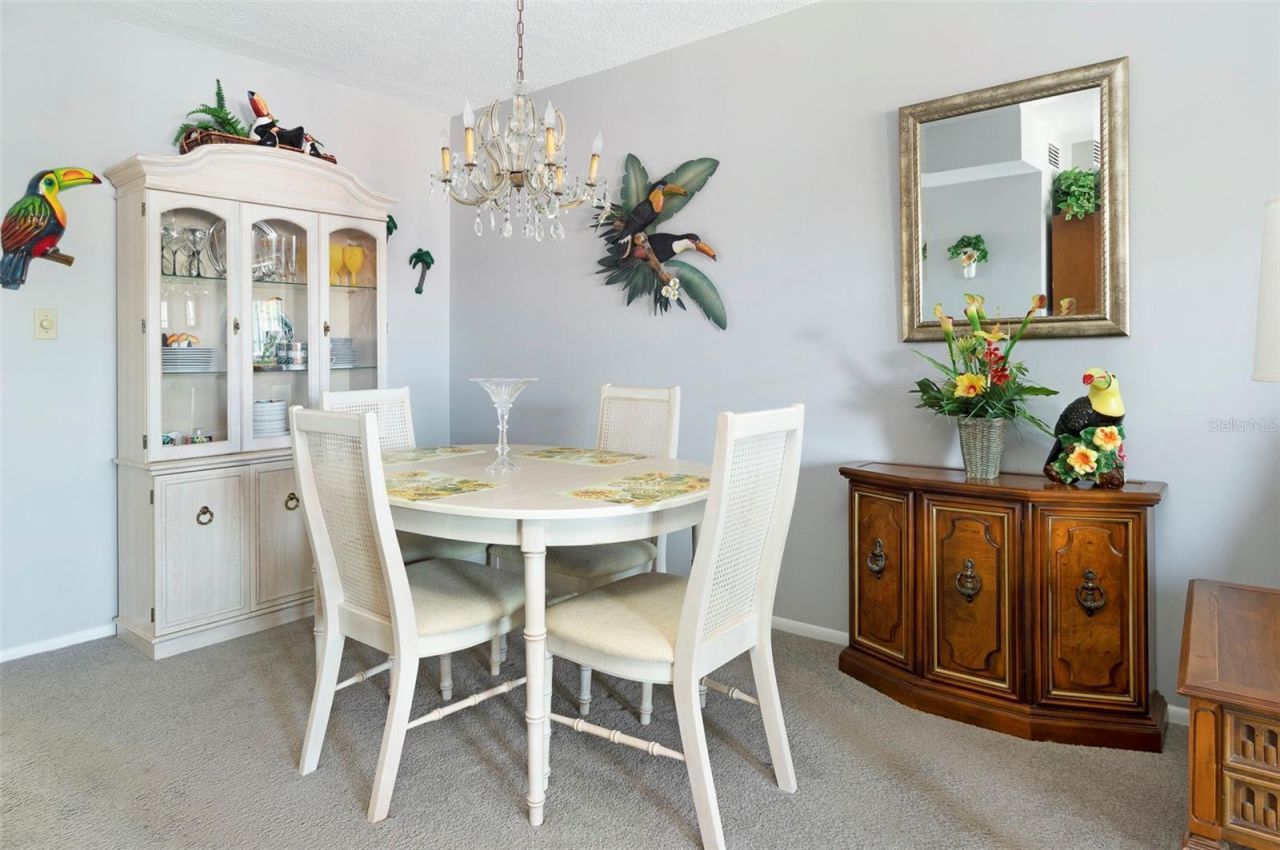 8101 11th Street N, Unit 319, Saint Petersburg, FL 33702 Photo