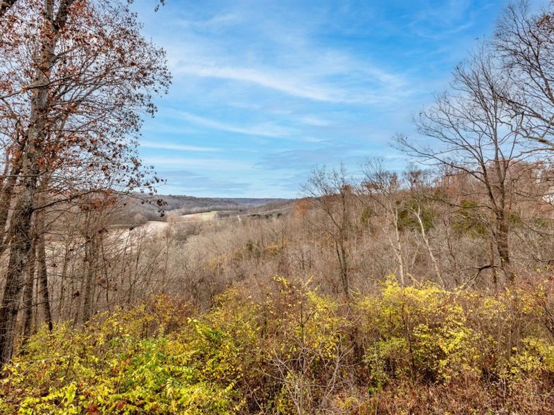 5654 Wilmington Road, Washington Township, OH 45054 Photo 57