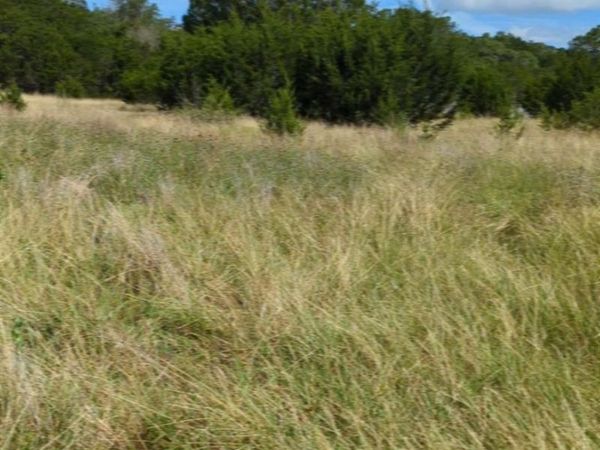 757 Rabbit Ave, Wimberley, TX 78676