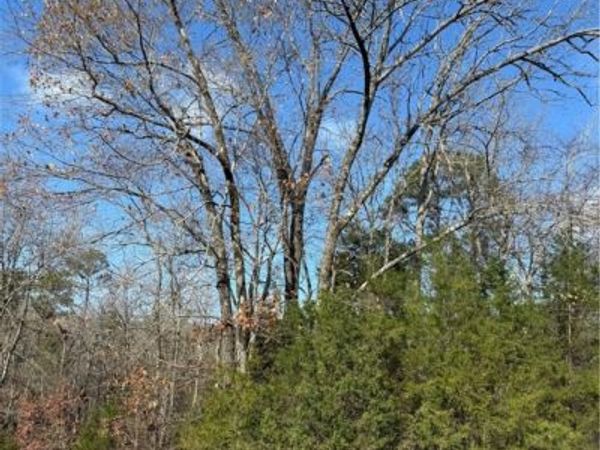 Quicker Still Lane, Dover, AR 72837