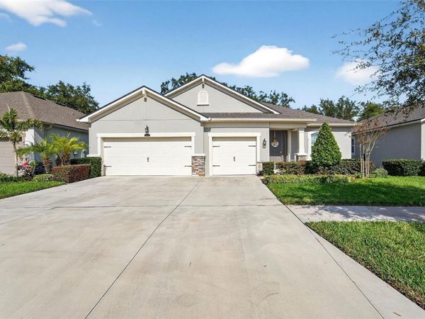 11404 BLUE WOODS DRIVE, RIVERVIEW, FL 33569