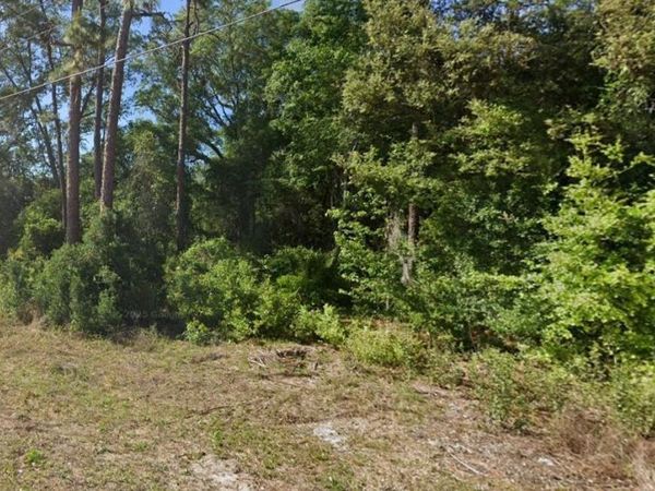 SE 17TH LANE, OCKLAWAHA, FL 32179