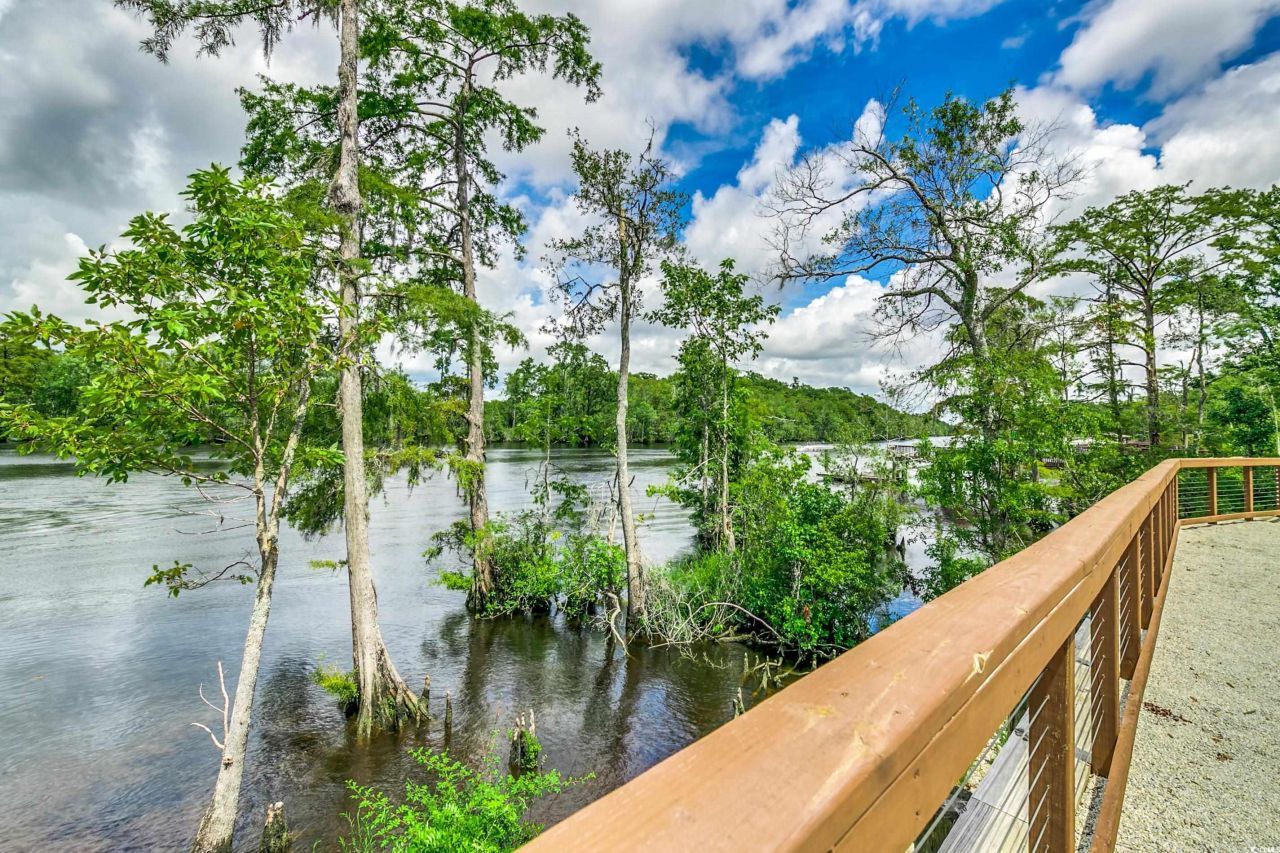 269 Chamberlin Rd. Photo 10