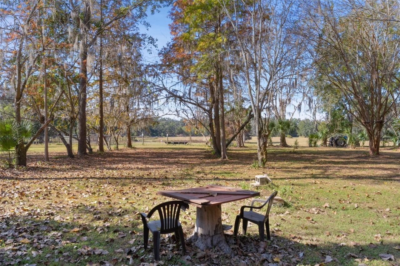 6250 & 5942 E C 478, Center Hill, FL 33514 Photo