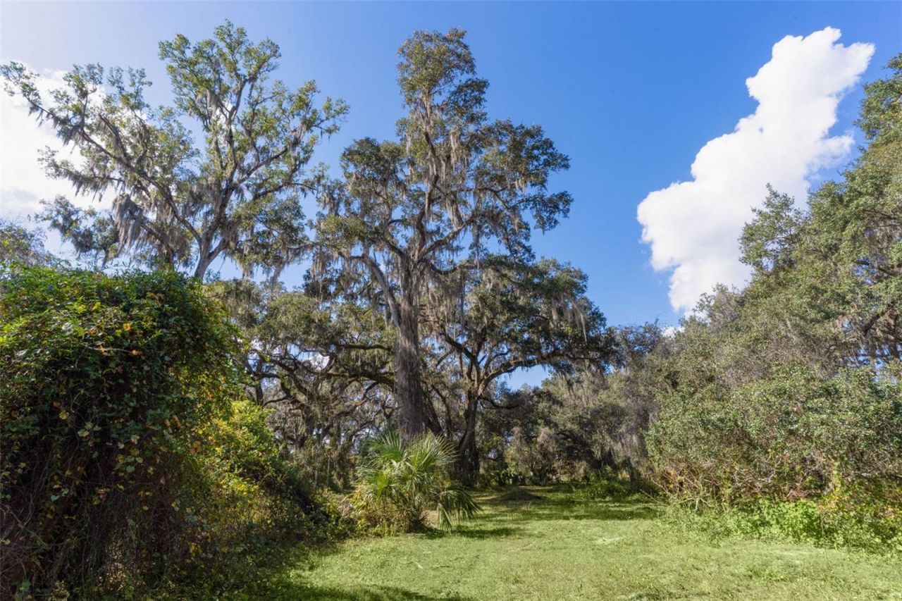6250 & 5942 E C 478, Center Hill, FL 33514 Photo