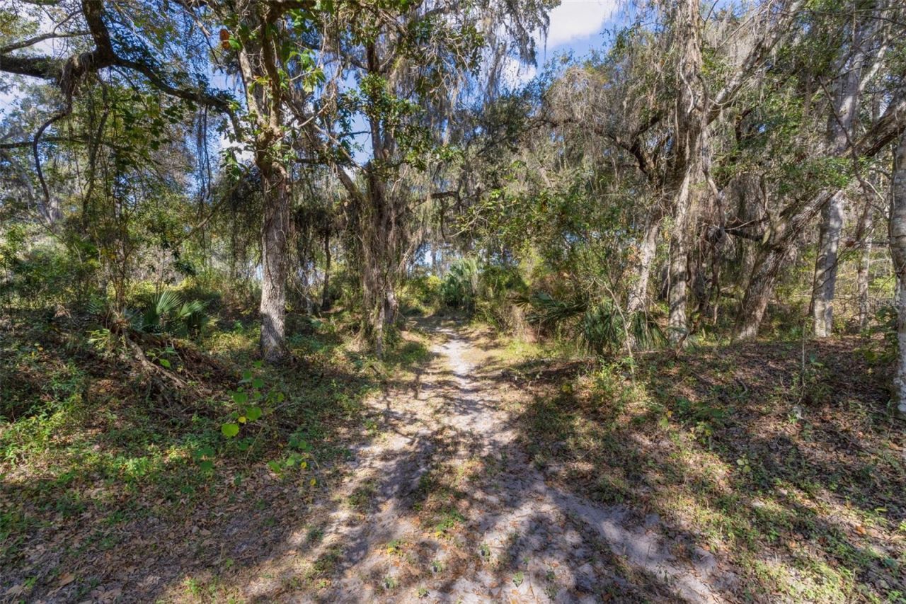 6250 & 5942 E C 478, Center Hill, FL 33514 Photo