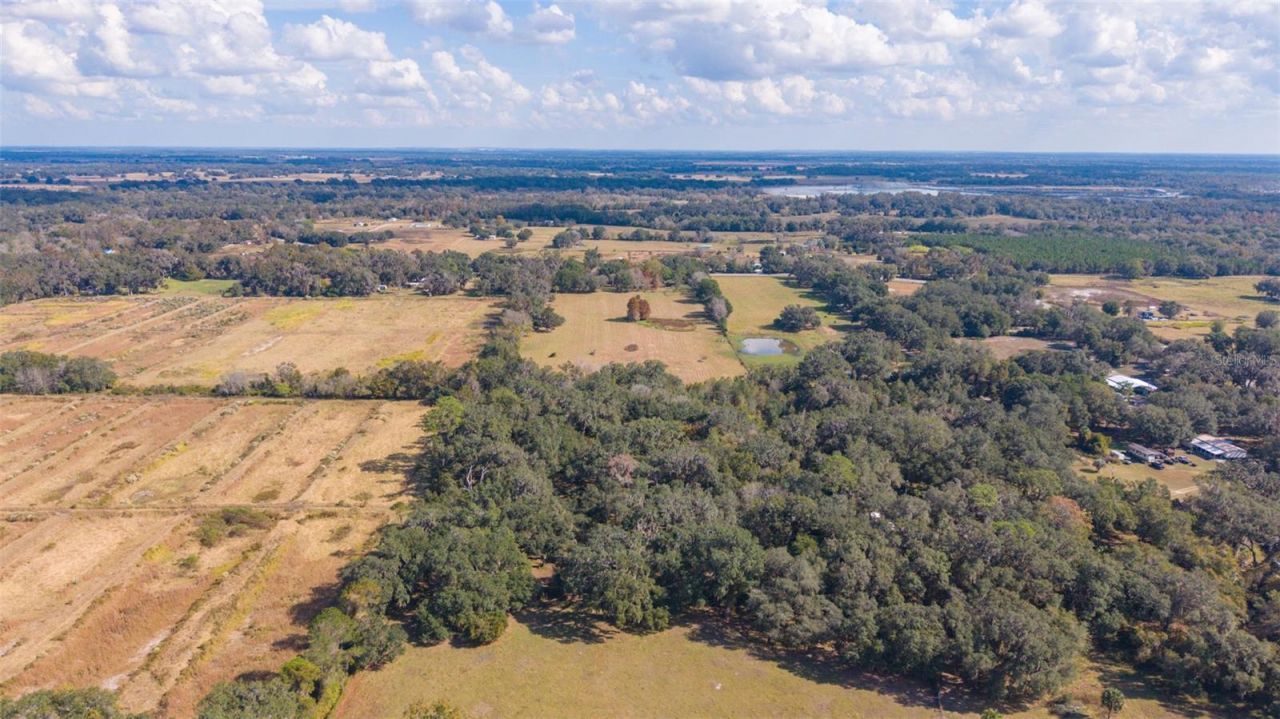 6250 & 5942 E C 478, Center Hill, FL 33514 Photo