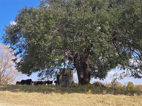 3432 County Road 206 RD N, Cameron, TX 76520