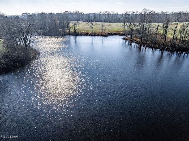 5951 State Route 303, Wakeman, OH 44889 Photo 2