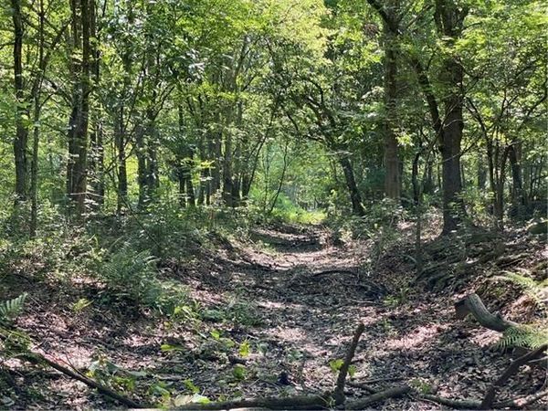 POYDRAS PLANT LOT 10, St Bernard, LA 70085