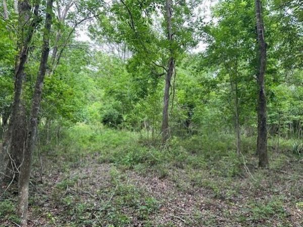 0 TODD Drive, St Bernard, LA 70085