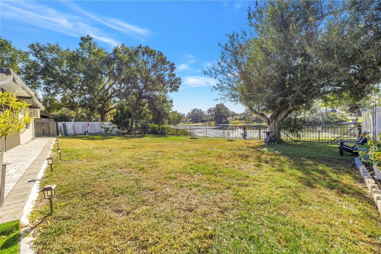 13216 Forest Hills Drive, Tampa, FL 33612 Photo