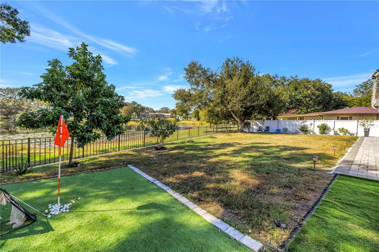 13216 Forest Hills Drive, Tampa, FL 33612 Photo