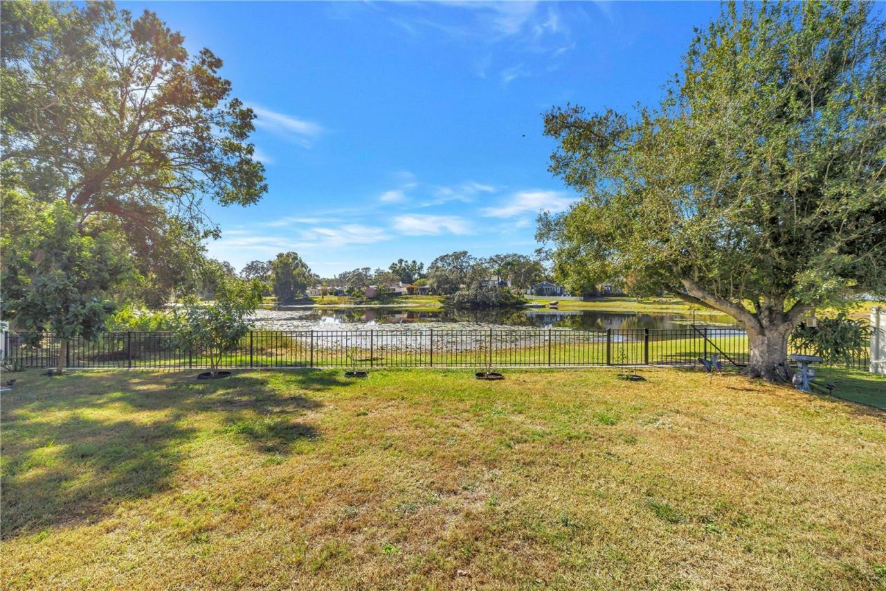 13216 Forest Hills Drive, Tampa, FL 33612 Photo