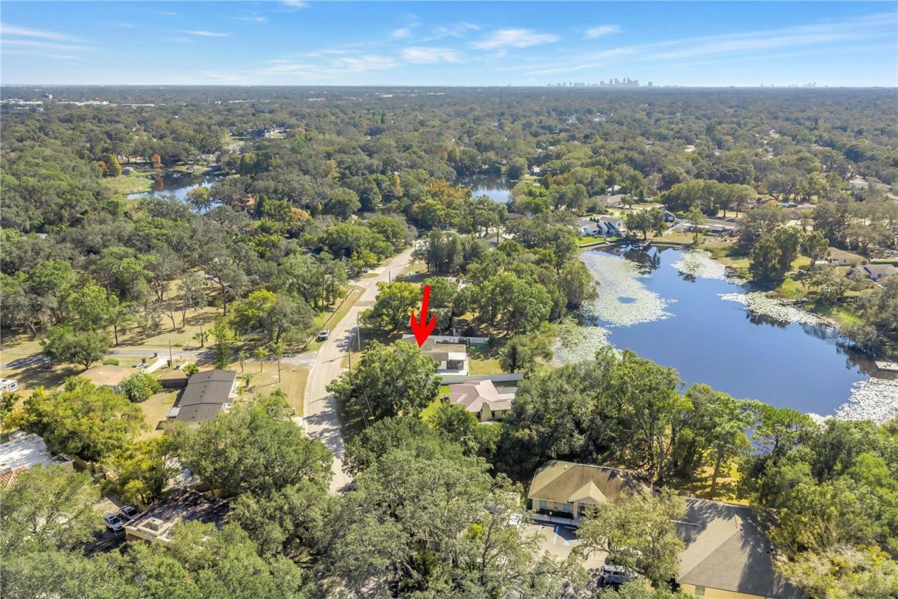 13216 Forest Hills Drive, Tampa, FL 33612 Photo