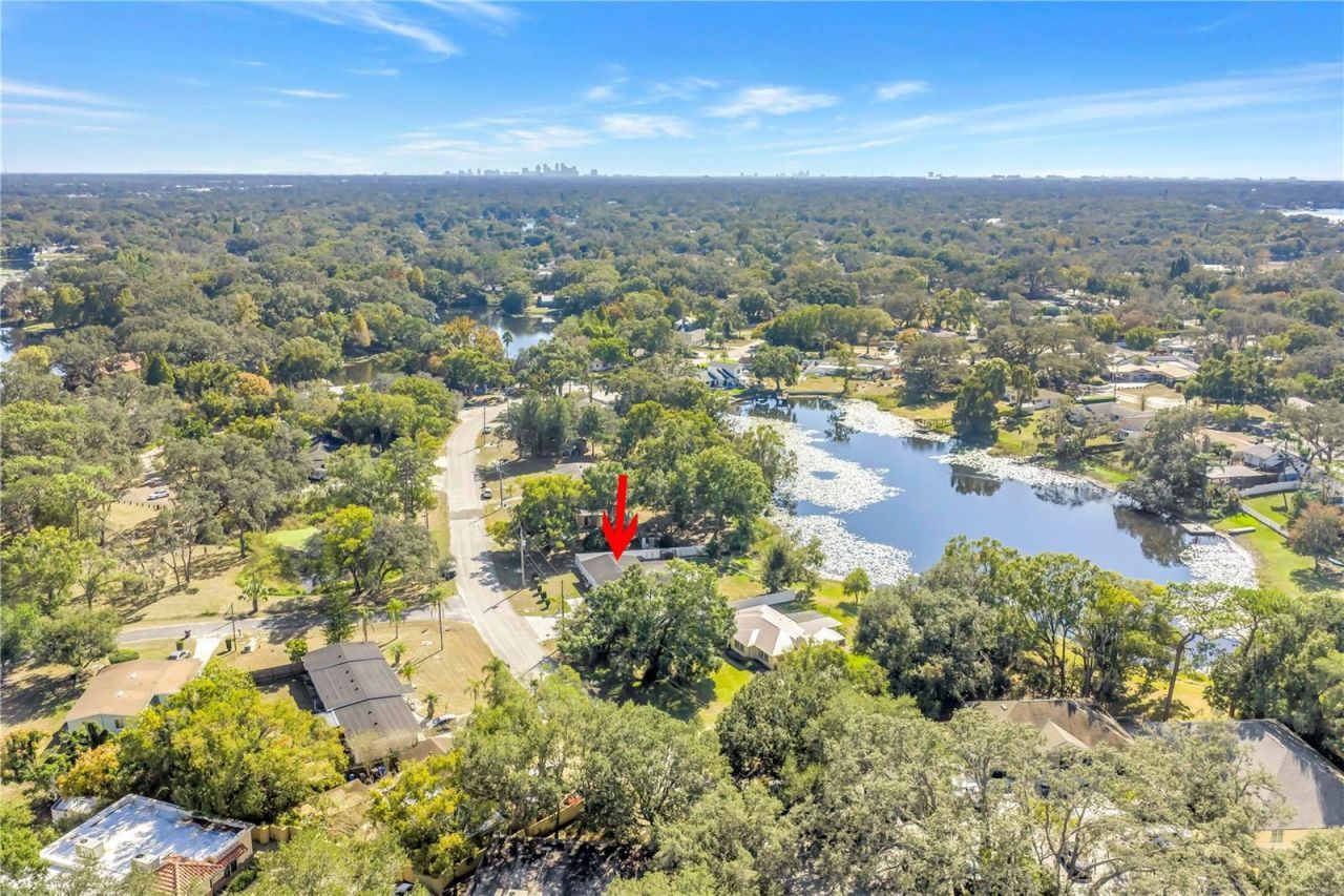 13216 Forest Hills Drive, Tampa, FL 33612 Photo