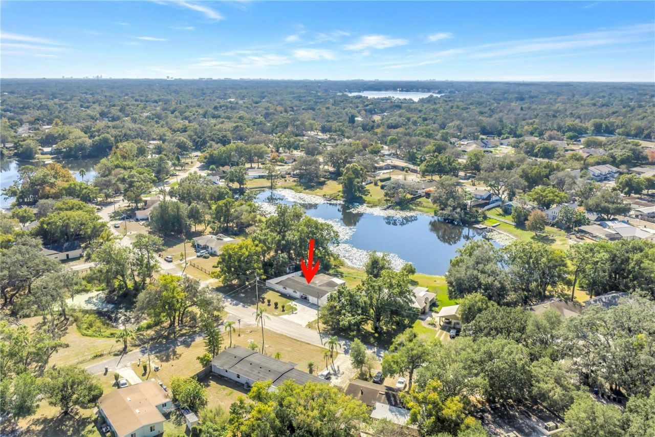 13216 Forest Hills Drive, Tampa, FL 33612 Photo