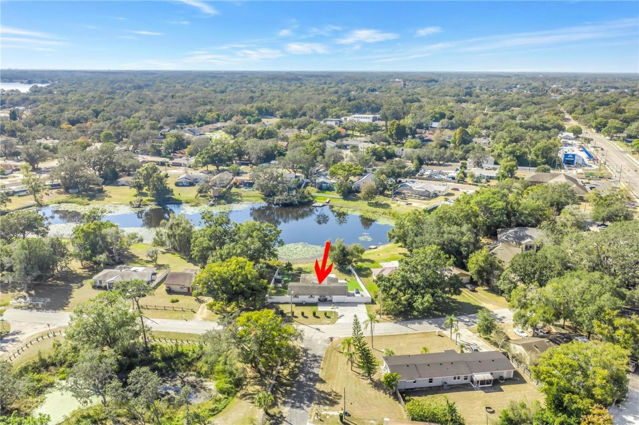 13216 Forest Hills Drive, Tampa, FL 33612 Photo