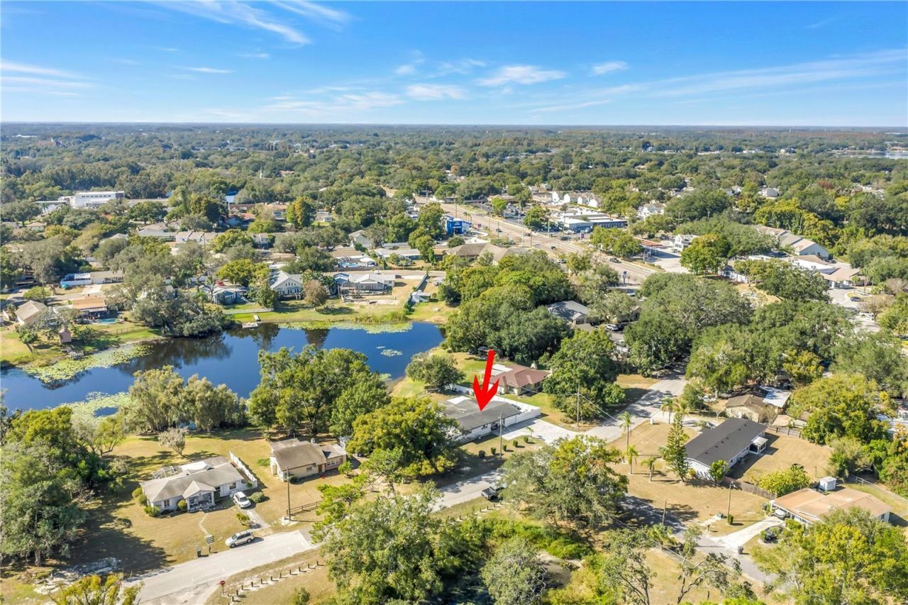 13216 Forest Hills Drive, Tampa, FL 33612 Photo