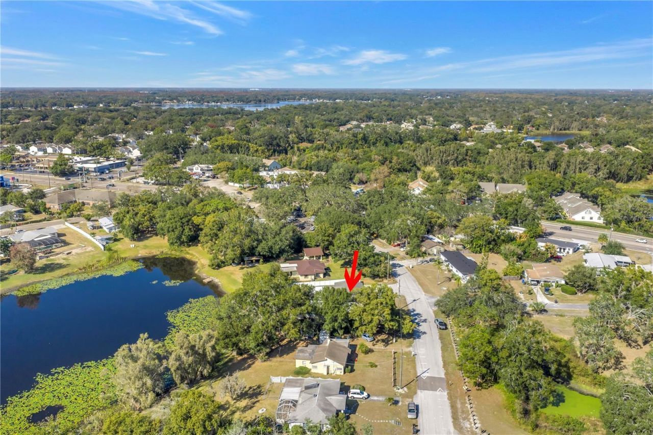 13216 Forest Hills Drive, Tampa, FL 33612 Photo