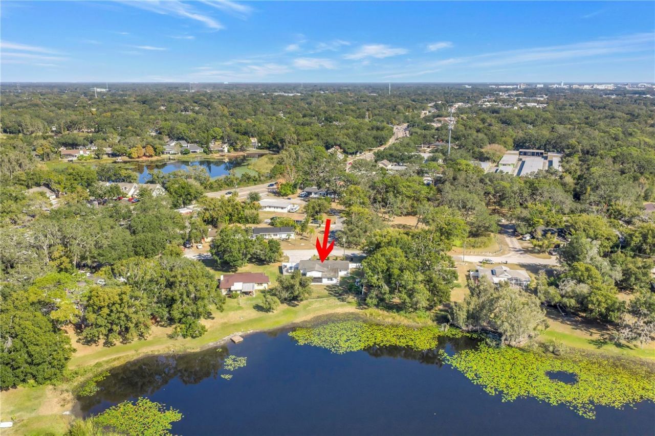 13216 Forest Hills Drive, Tampa, FL 33612 Photo