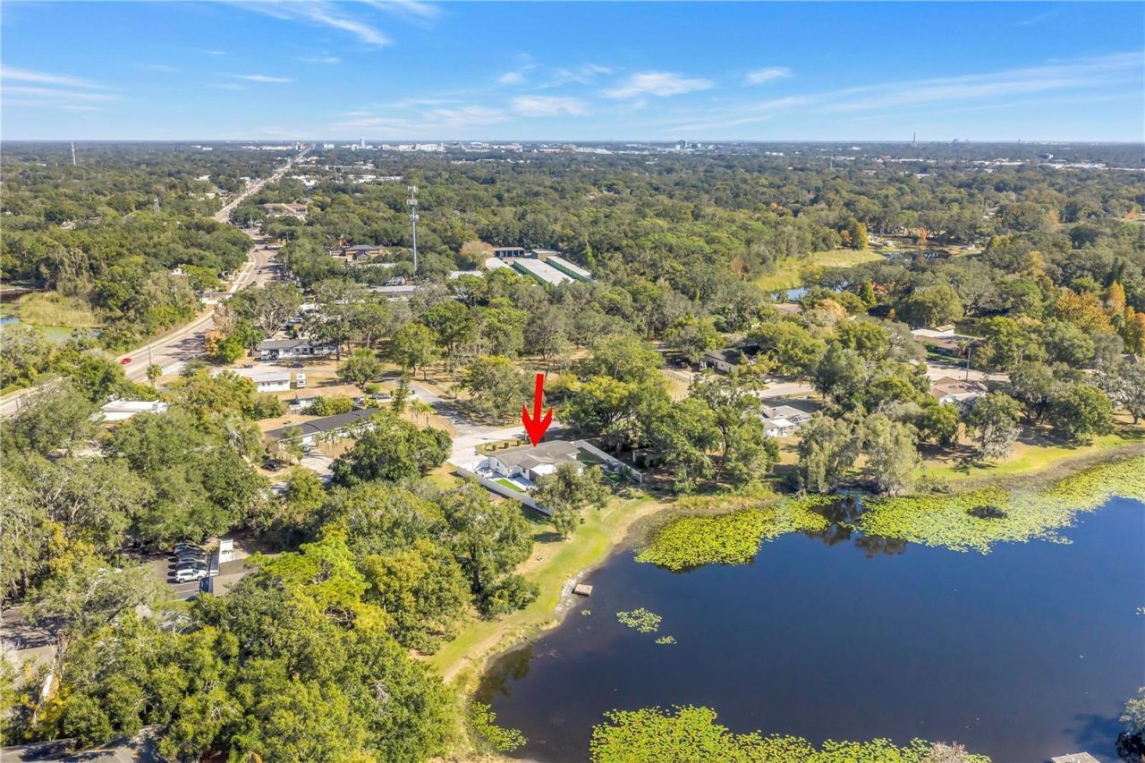 13216 Forest Hills Drive, Tampa, FL 33612 Photo