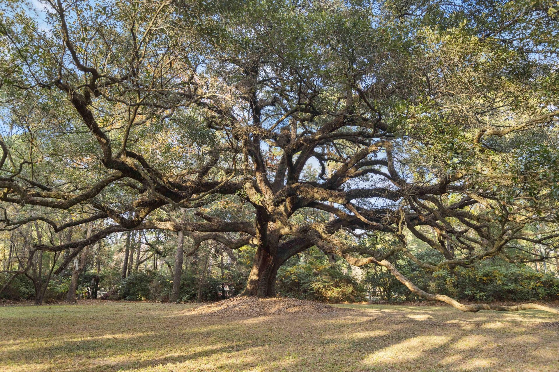 9875 Jamison Road Photo 123