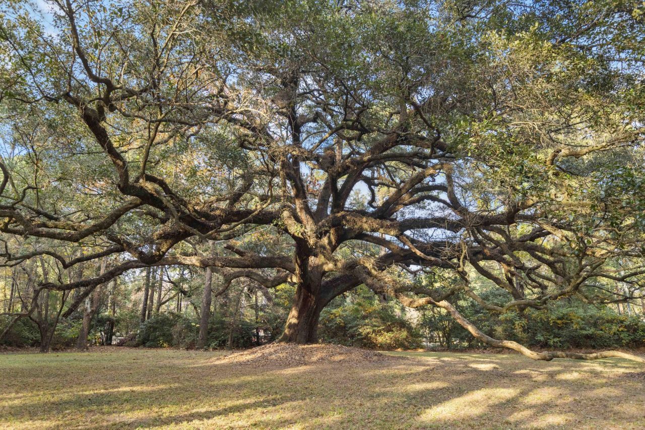 9875 Jamison Road Photo 127