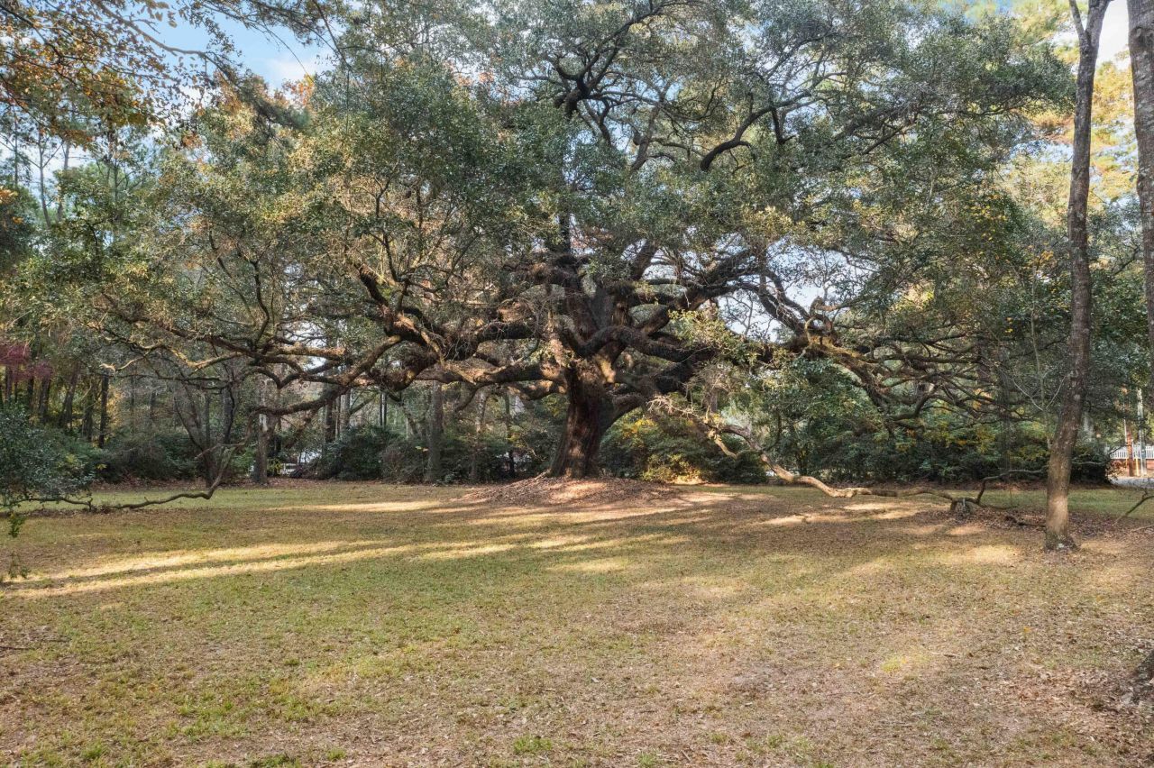 9875 Jamison Road Photo 128