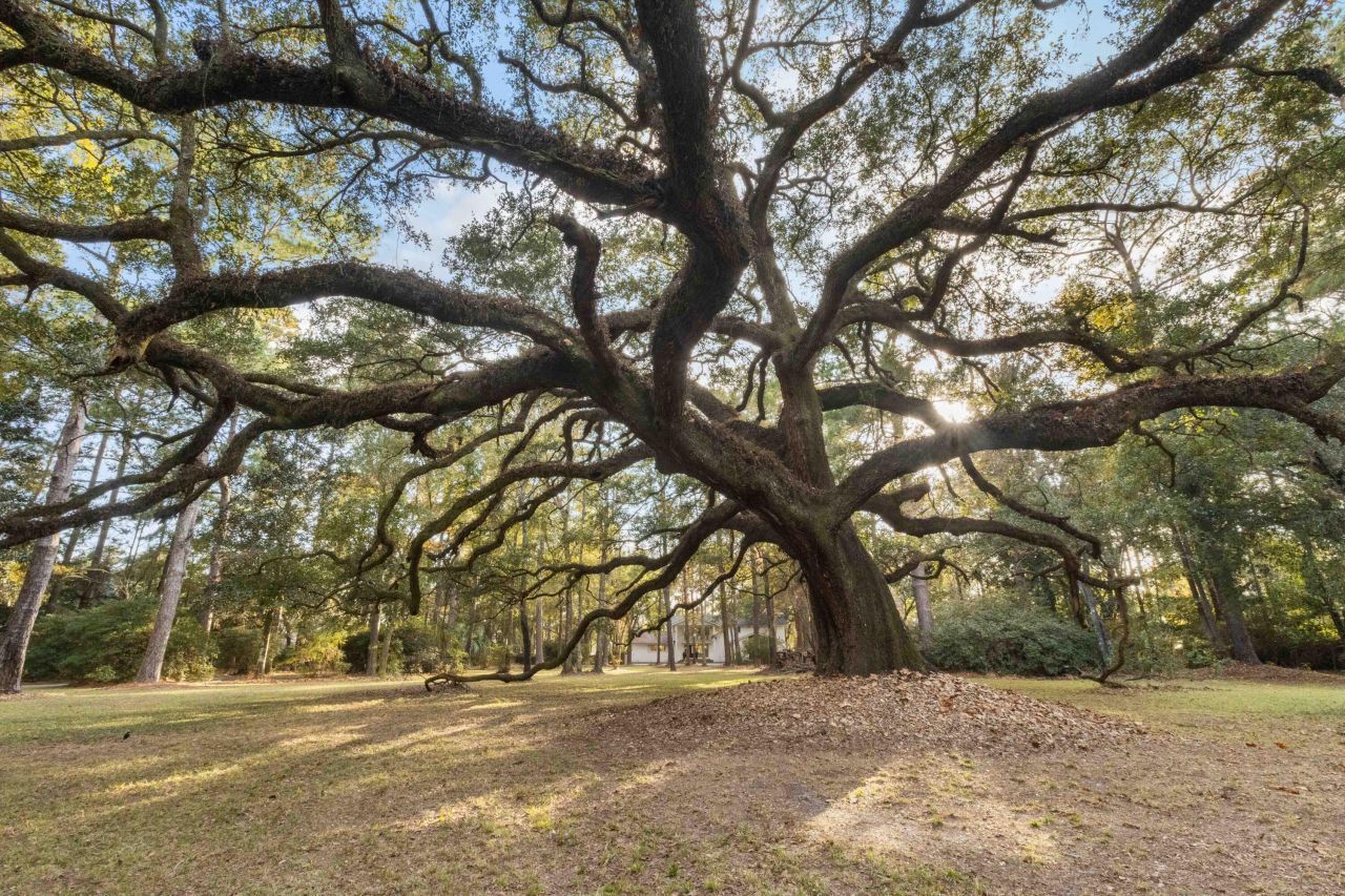 9875 Jamison Road Photo 15