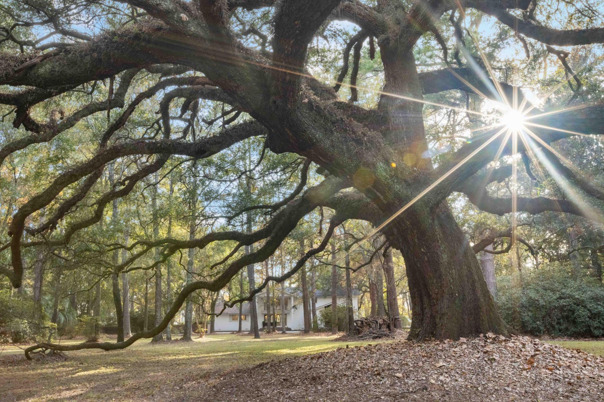 9875 Jamison Road Photo 2