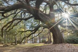 9875 Jamison Road photo 4