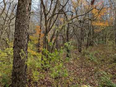 Ryan Road, Williamstown, NY 13493